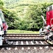 Zderzenie pociągu z lokomotywą na Słowacji. 74 osoby ranne