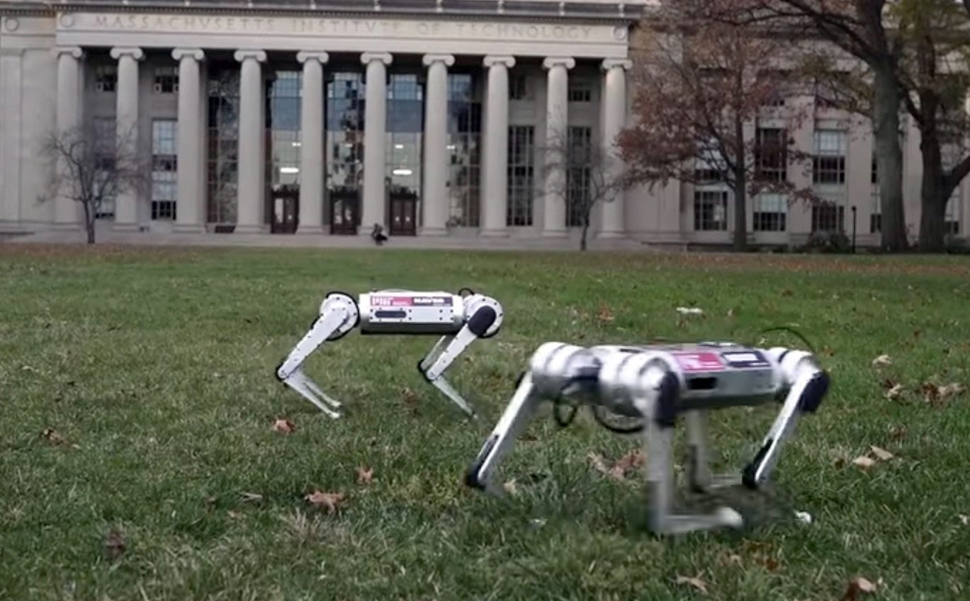 Roboty dostarczą posiłki do domów. Polska firma szykuje rewolucję