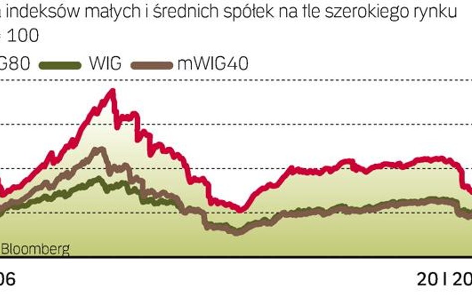 Małe spółki dają zarobić w długim terminie