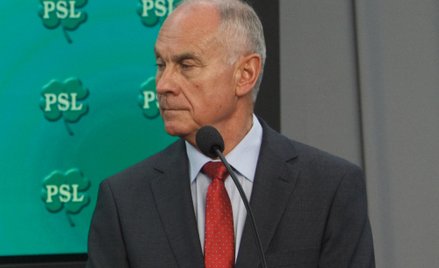 Aleksander Sopliński (PSL) diagnozuje chorobę sierocą u polityków PiS