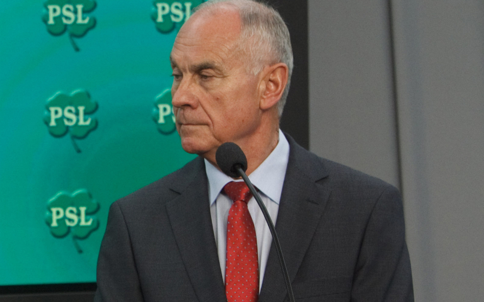 Aleksander Sopliński (PSL) diagnozuje chorobę sierocą u polityków PiS
