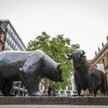Byki tygodnia, czyli trzy spółki z szansami na zwyżki: Dębica, GPW i MOL