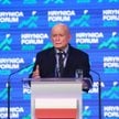 Prezes PiS Jarosław Kaczyński