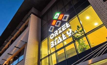 Wyniki Orła Białego w dół