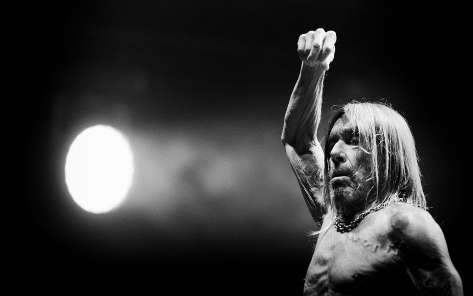 Iggy Pop skończy 21 kwietnia 76 lat, ale wciąż jest w znakomitej koncertowej formie