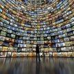 Netflix, HBO Go, a może Showmax. Co się opłaca?