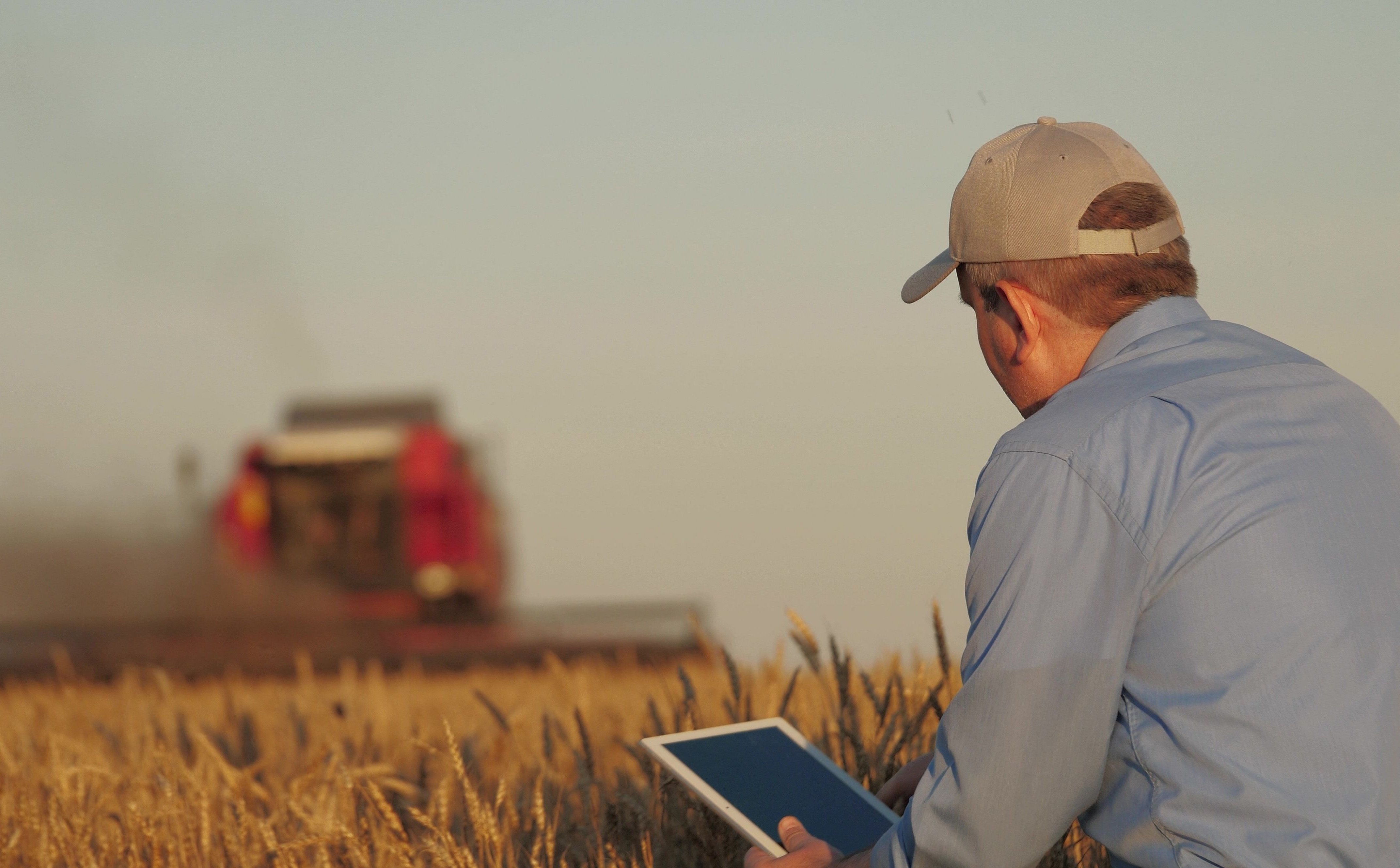 Grzegorz Sibiga: Ochronić wykluczonych cyfrowo