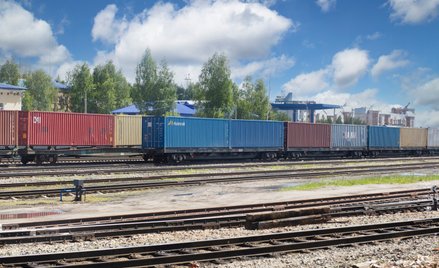Europejskie towary trafiają do Rosji przez pośredników