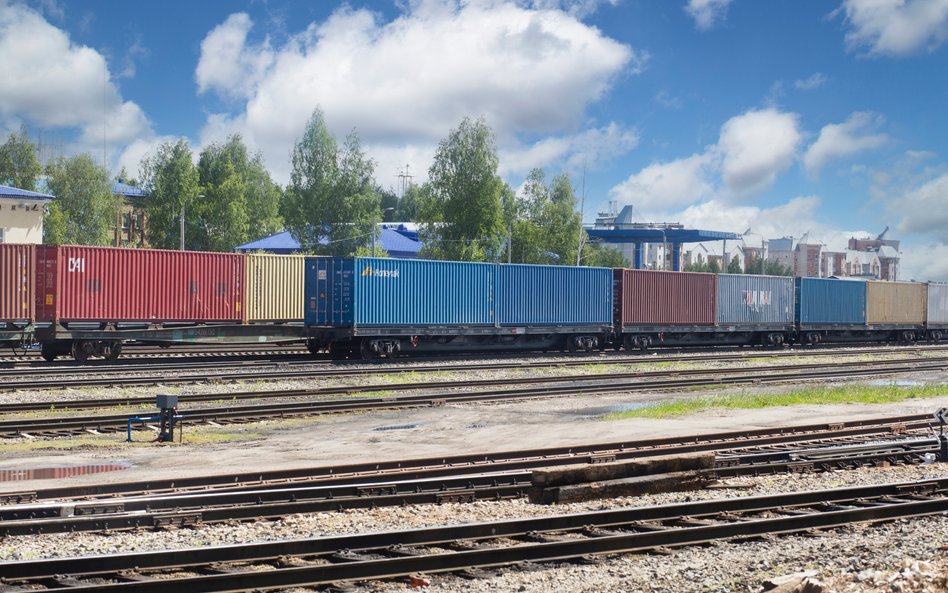 Europejskie towary trafiają do Rosji przez pośredników