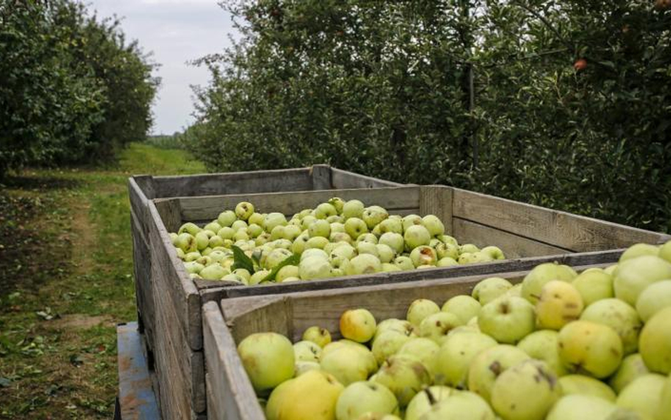 Stosowane w umiarze, zgodnie z prawem i zaleceniami producentów, środki ochrony roślin przyczyniają 