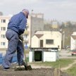 Skazani mają pracować, a nie siedzieć za kratą