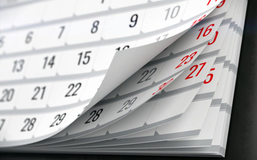 WSA: Rok kalendarzowy nie był rokiem