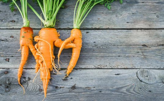 Niemieckie supermarkety nie boją się "brzydkich" warzyw