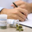 Medyczna marihuana: susz THC w polskich aptekach