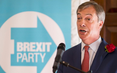 Choć cała retoryka Nigela Farage'a skupia się wokół brexitu, część Brytyjczyków nie ma pojęcia, czy 
