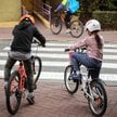 Jaki będzie mandat za brak kasku na rowerze lub hulajnodze? Jest kwota