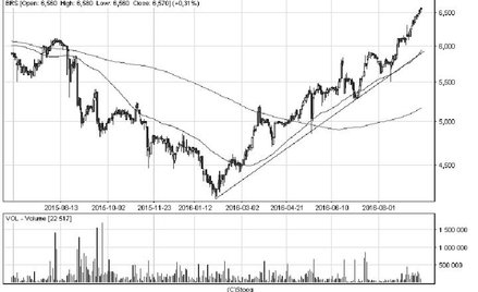 Byki tygodnia, czyli trzy spółki z szansami na zwyżki...
