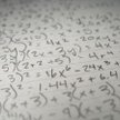 Matematyka pomoże chronić lasy