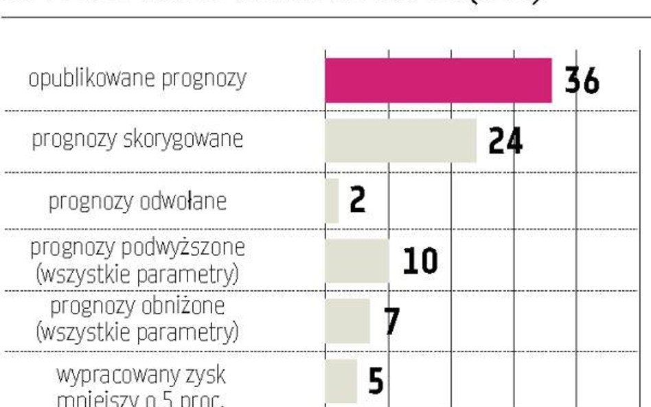 Prognozy na 2009 rok skorygowane i dzięki temu – wykonane