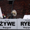 Żywe karpie mogą zniknąć z handlu - projekt ustawy o ochronie zwierząt