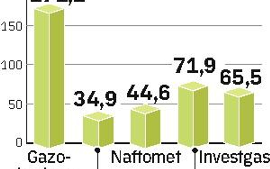 Największa z konsolidowanych spółek jest Gazobudowa.