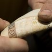 Pobierający rentę po zmarłym może pracować