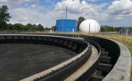 Banki spółdzielcze mogłyby sfinansować budowę ok. 2 tys. biogazowni o średniej mocy elektrycznej 0,8