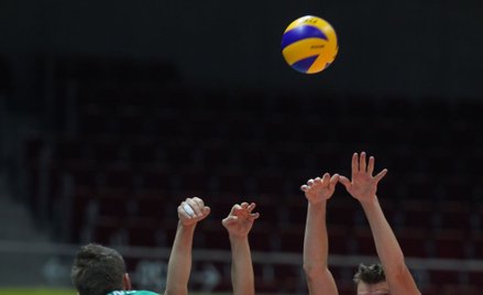 Ekstraklasa siatkarzy: Trefl robi krok w stronę półfinału