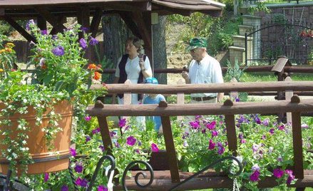 Pensjonat w mieście z wyższym podatkiem od nieruchomości