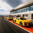 Audi Driving Experience: Przygoda i lekcja