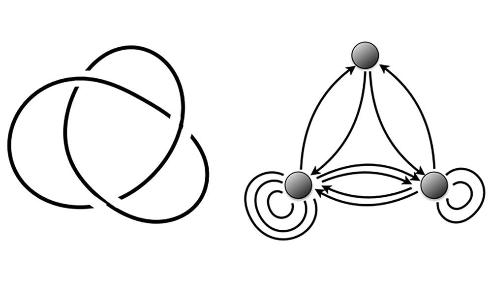 Knots and arrows: a discovery that connects worlds