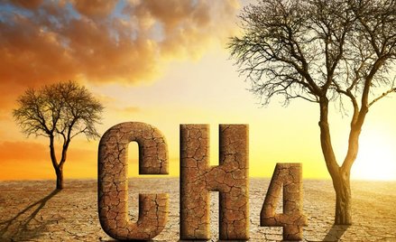 Metan na cenzurowanym