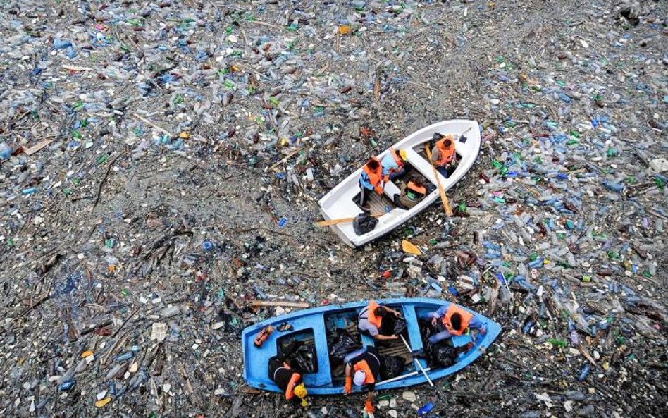 Plastikowe odpady nie ulegają rozkładowi, wiatr i fale rozdrabniają je, tworząc zawiesinę niestrawną