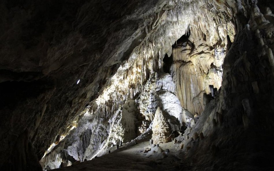 Fotorzepa/Urszula Lesman