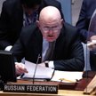 Wasilij Nebenzia
