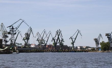Gdańskie dźwigi