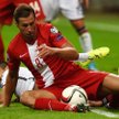 Grzegorz Krychowiak