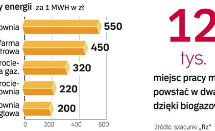 Biogazownie będą w uprzywilejowanej pozycji. Jeśli proponowane przez Ministerstwo Gospodarki zmiany 