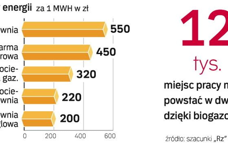 Biogazownie będą w uprzywilejowanej pozycji. Jeśli proponowane przez Ministerstwo Gospodarki zmiany 