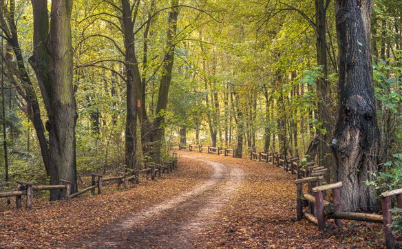 Park Młociński, Warszawa