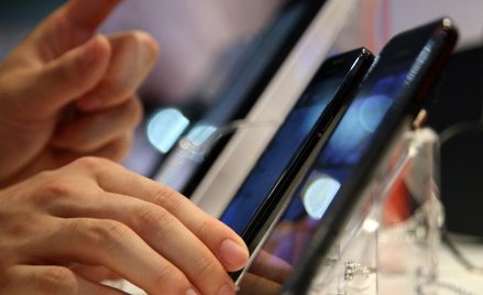 Rośnie liczba internautów