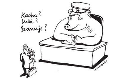 Komentarz rysunkowy. Kocha? Lubi? Szanuje?