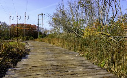 Sposób na drogę konieczną za darmo?