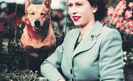 Niedziela | 15.00 | BBC Entertainment