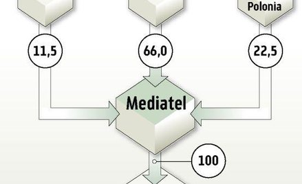 Mediatel i CenterNet w grupie?