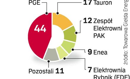 PGE może wejść na giełdę jeszcze w tym roku