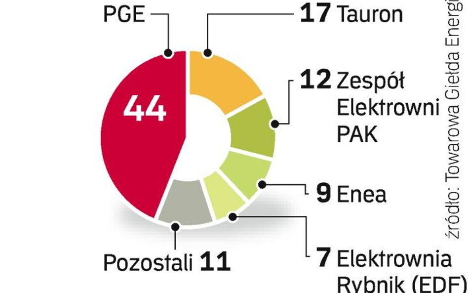 PGE może wejść na giełdę jeszcze w tym roku