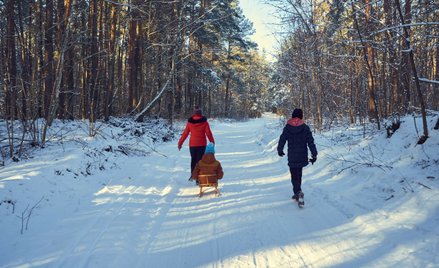 Program 500+ nie wpłynął znacząco na wzrost dzietności