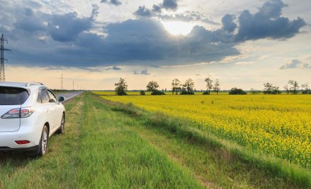 Stanął na poboczu, zapłaci, jakby jechał - wyrok SN