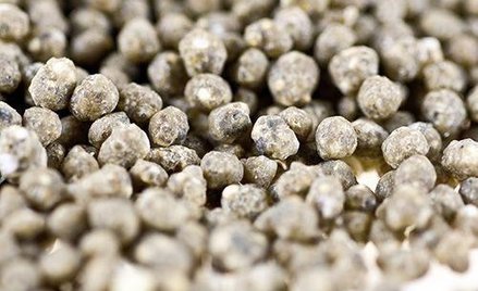 Rośnie import nawozów z Rosji